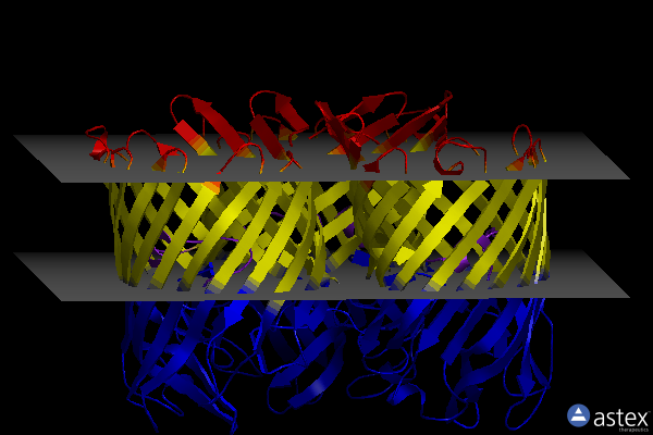 Membrane view of 1hxu