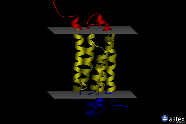 Membrane view of 2mgy