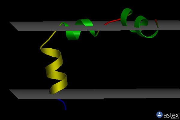 Membrane view of 1bl1
