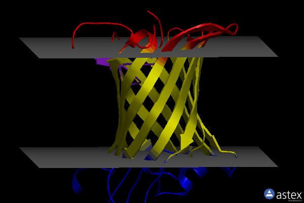 Membrane view of 1fw2