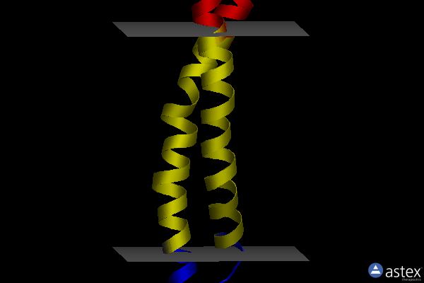 Membrane view of 1ijp