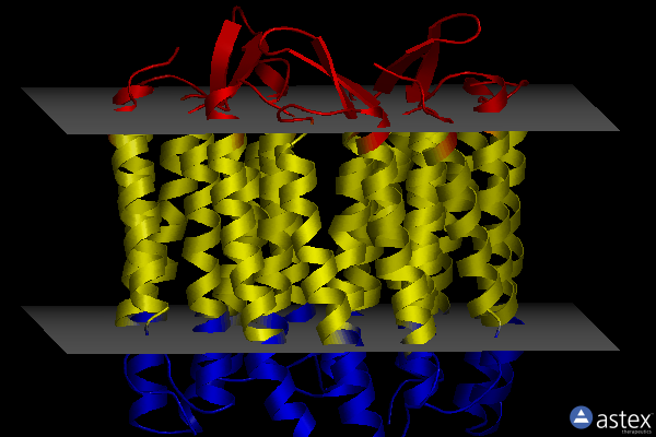 Membrane view of 1ixf