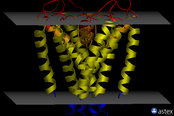 Membrane view of 1j95