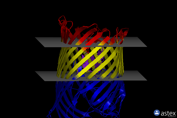 Membrane view of 1qff