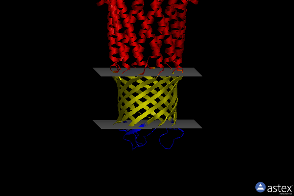 Membrane view of 1tqq