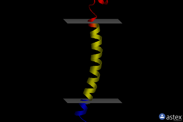 Membrane view of 1xrd