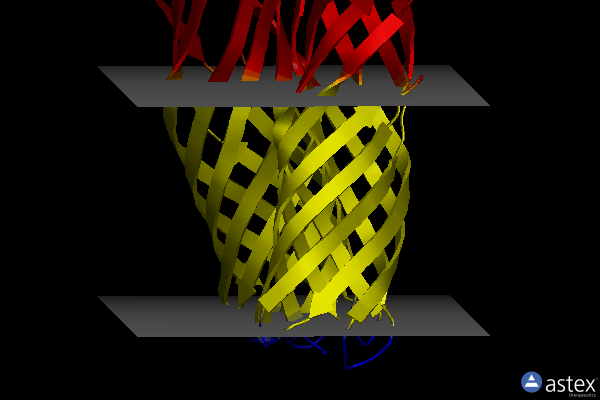 Membrane view of 2f1v