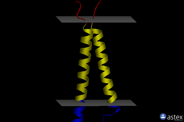 Membrane view of 2k9j