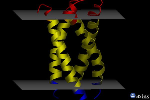 Membrane view of 2kix