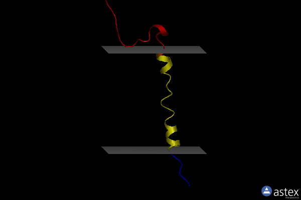 Membrane view of 2lot