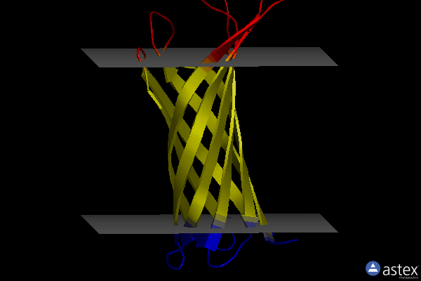 Membrane view of 2n2m