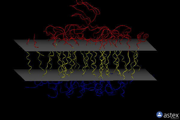 Membrane view of 2pps