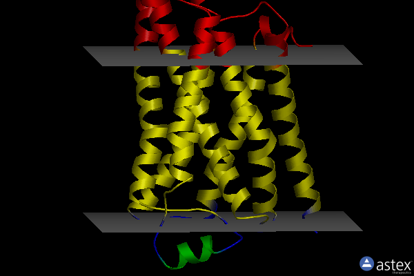 Membrane view of 2ycx