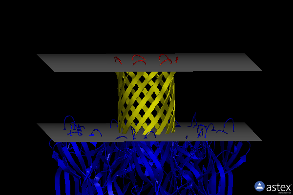 Membrane view of 3m2l