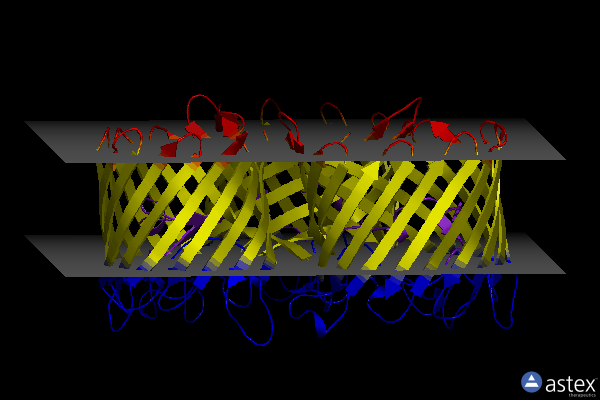 Membrane view of 3prn