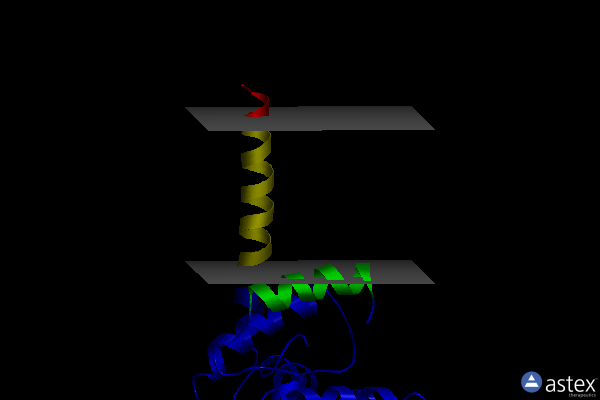 Membrane view of 3vmr