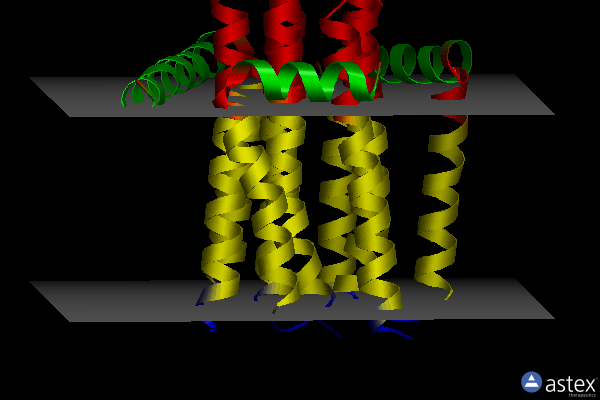 Membrane view of 4cjz