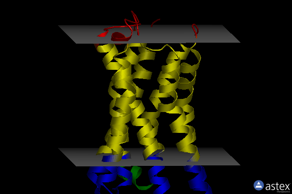 Membrane view of 4mqt