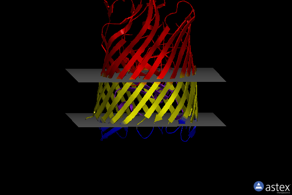 Membrane view of 5c58