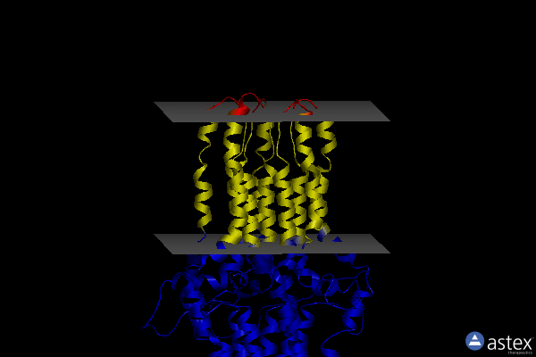 Membrane view of 5id3
