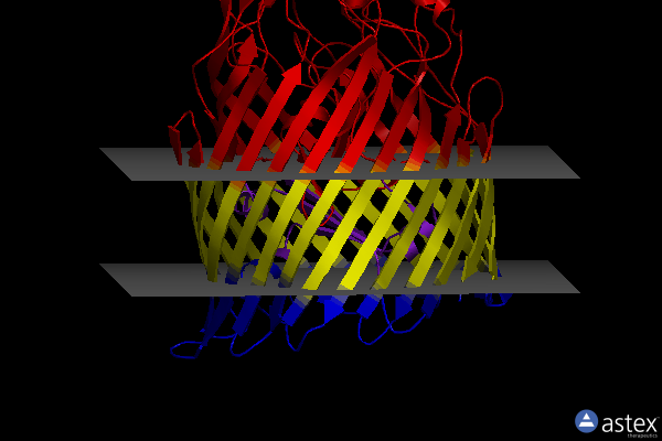 Membrane view of 5nc3