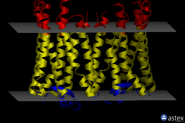 Membrane view of 6ak3