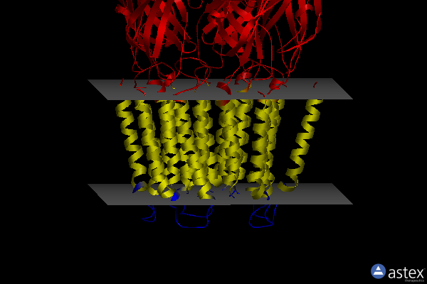 Membrane view of 6cdu