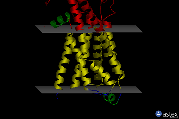 Membrane view of 6kr8