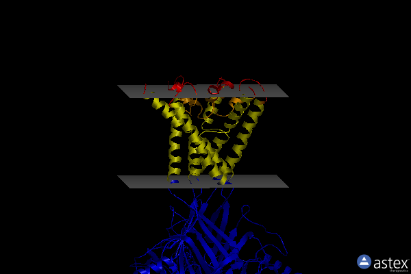 Membrane view of 6vtk