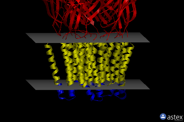 Membrane view of 6zgd