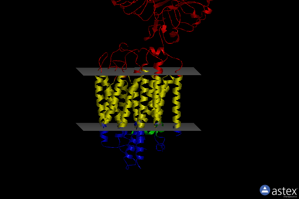 Membrane view of 7cyn