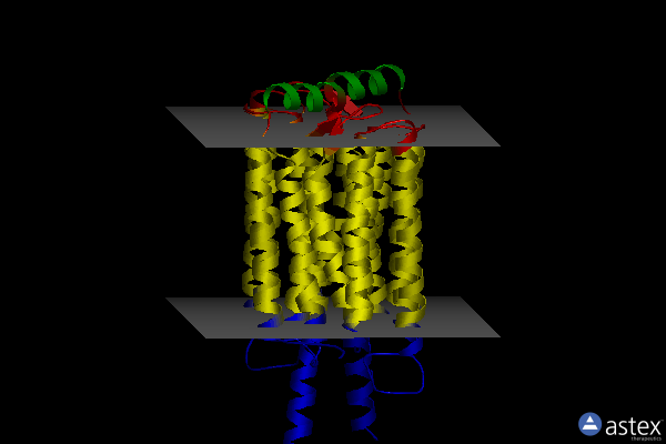 Membrane view of 7d7q