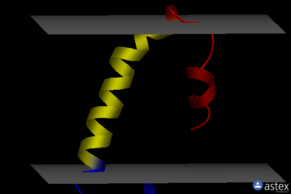 Membrane view of 8ar1