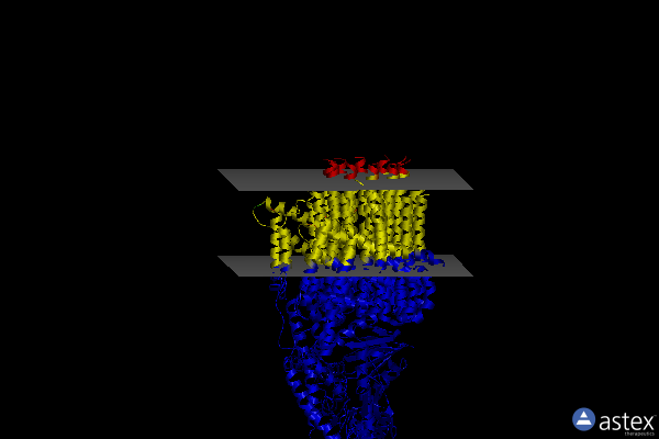 Membrane view of 8fl8