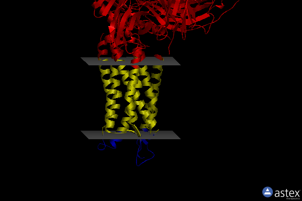 Membrane view of 8fn0