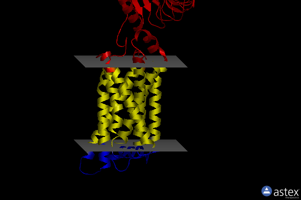 Membrane view of 8i2h