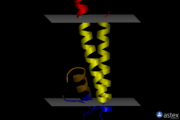 Membrane view of 8thn